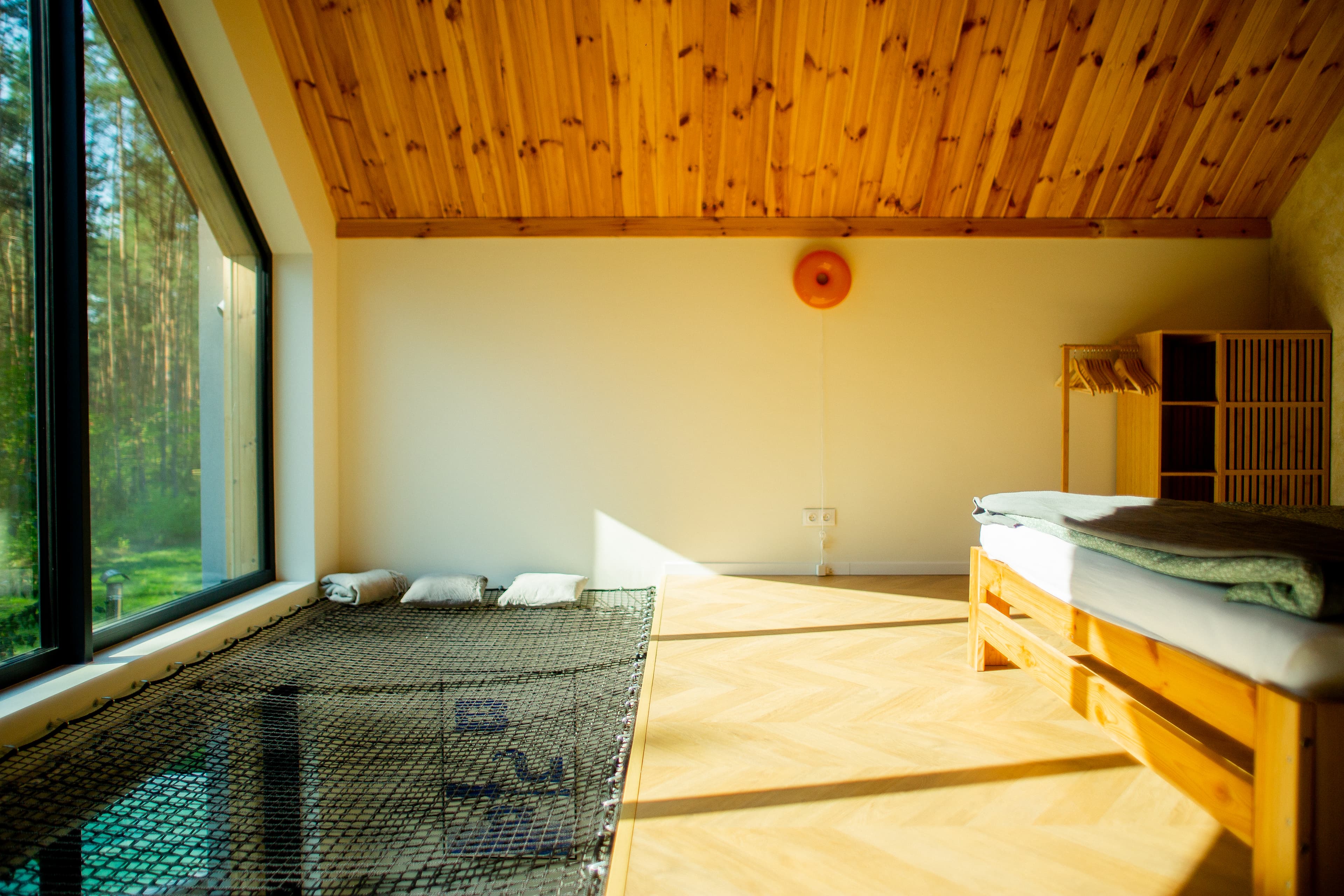 sojka gallery image