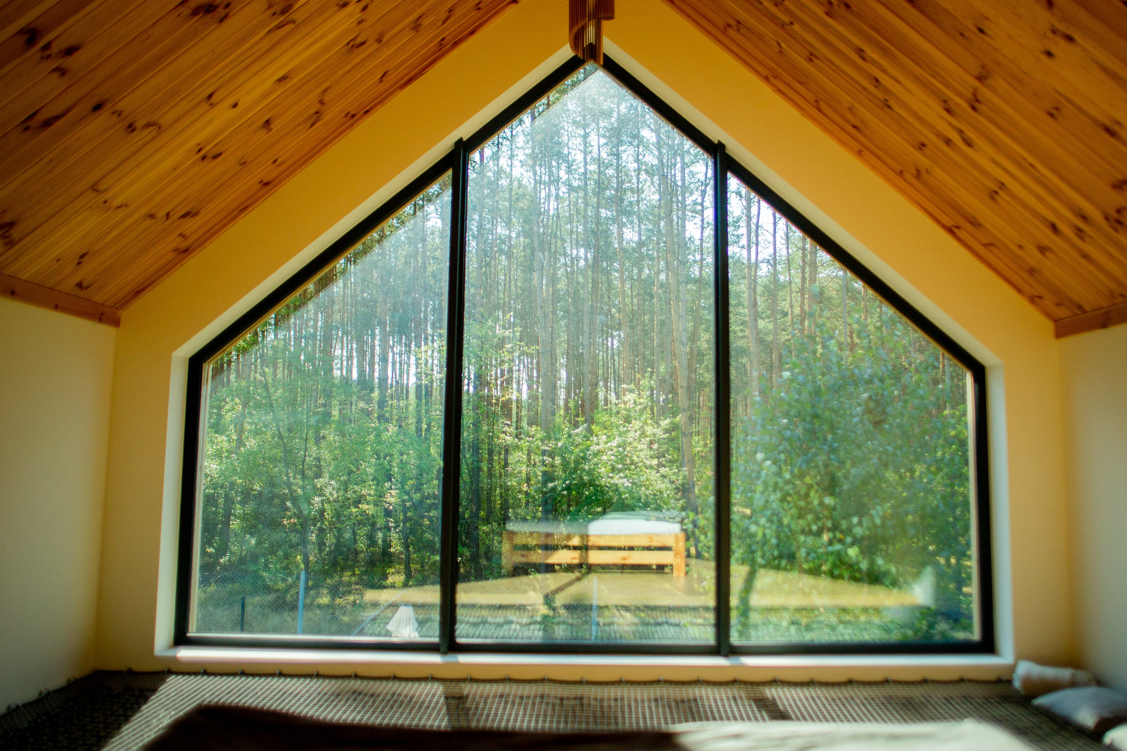 sojka gallery image